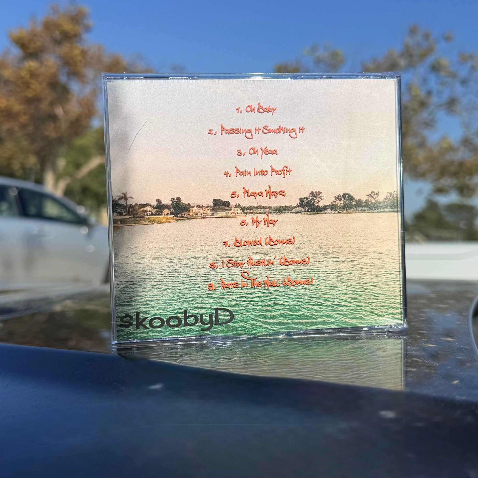Stay Down Until You Come Up Deluxe (CD & Digital)