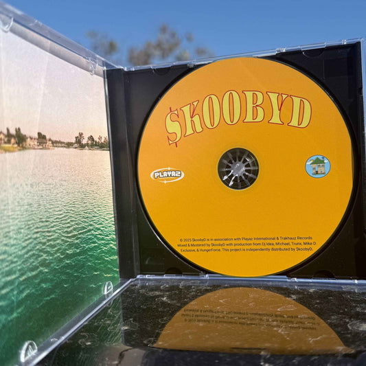 Stay Down Until You Come Up Deluxe (CD & Digital)